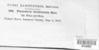 Image Associated With the Occurence